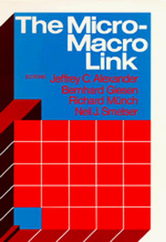 Imagen de archivo de The Micro-Macro Link a la venta por BooksRun