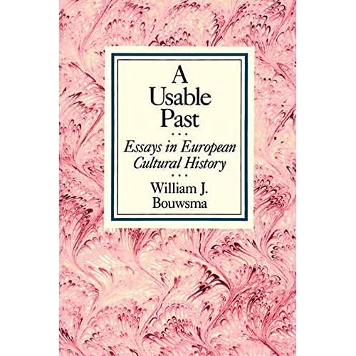 Imagen de archivo de A Usable Past: Essays in European Cultural History a la venta por BooksRun
