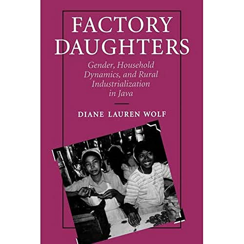 Imagen de archivo de Factory Daughters: Gender, Household Dynamics, and Rural Industrialization in Java a la venta por Bingo Used Books