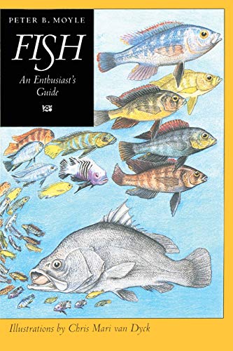 Stock image for Fish: An Enthusiast's Guide for sale by SecondSale