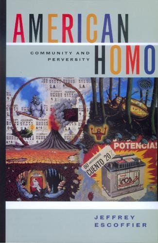 Stock image for American Homo : Community and Perversity for sale by Better World Books