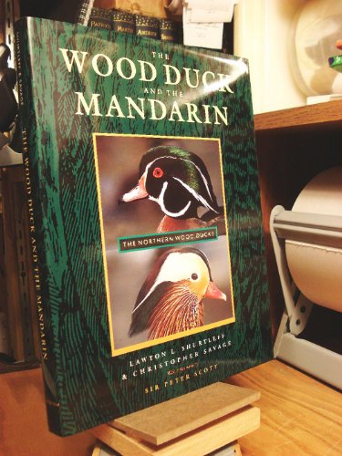 Stock image for The Wood Duck and the Mandarin : The Northern Wood Ducks for sale by Z & Z Books