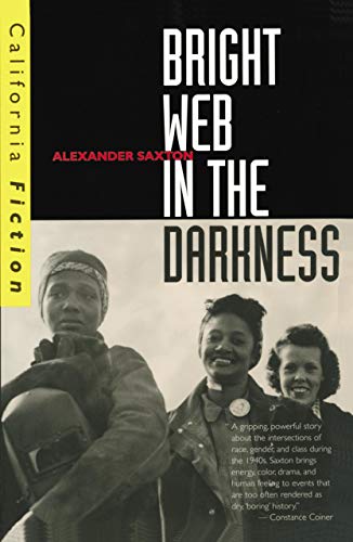 9780520209312: Bright Web in the Darkness (California Fiction)