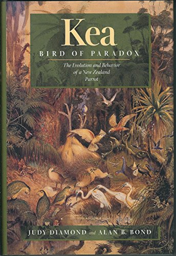 Kea, Bird of Paradox: The Evolution and Behavior of a New Zealand Parrot