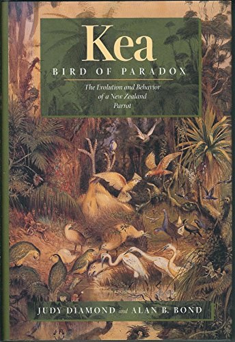 Kea Bird Of Paradox The Evolution And Behavior Of A New