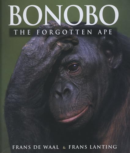 Beispielbild fr Bonobo: The Forgotten Ape zum Verkauf von HPB-Red