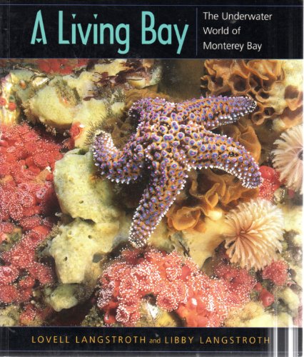 Stock image for A Living Bay: The Underwater World of Monterey Bay for sale by ThriftBooks-Dallas