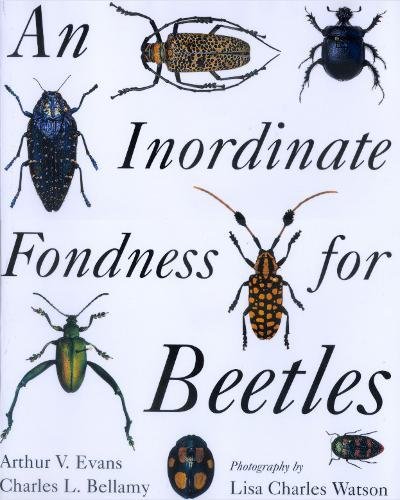 Imagen de archivo de An Inordinate Fondness for Beetles a la venta por WorldofBooks