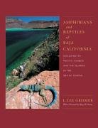 Amphibians and Reptiles of Baja California, Including Its Pacific Islands and the Islands in the Sea of Cort?s (Organisms and Environments) (Volume 4) - Grismer, L. Lee