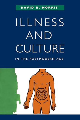 Imagen de archivo de Illness and Culture in the Postmodern Age a la venta por Open Books