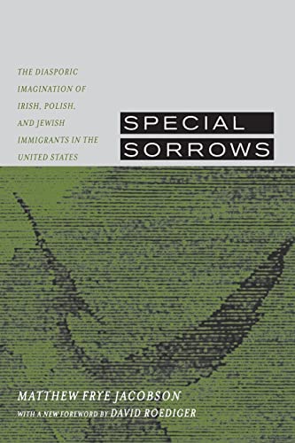 9780520233423: Special Sorrows: The Diasporic Imagination of Irish, Polish, and Jewish Immigrants in the United States
