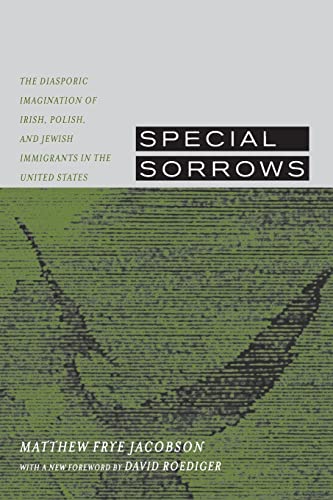 Stock image for Special Sorrows: The Diasporic Imagination of Irish, Polish, and Jewish Immigrants in the United States for sale by Textbooks_Source