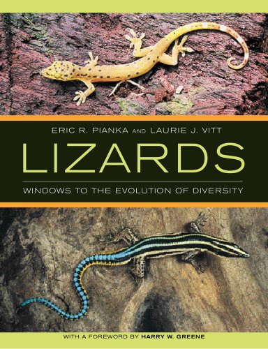 Stock image for LIZARDS Windows to the Evolution of Diversity (Organisms and Environments) for sale by Riverow Bookshop