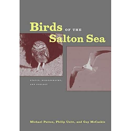 Stock image for Birds of the Salton Sea: Status, Biogeography, and Ecology for sale by GF Books, Inc.