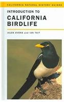 Beispielbild fr Introduction to California Birdlife (California Natural History Guides) zum Verkauf von Powell's Bookstores Chicago, ABAA