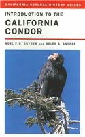 Stock image for Introduction to the California Condor (California Natural History Guides) for sale by Midtown Scholar Bookstore