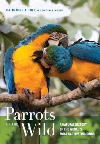 Imagen de archivo de Parrots of the Wild: A Natural History of the World's Most Captivating Birds a la venta por More Than Words