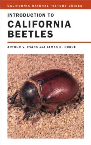 Stock image for Introduction to California Beetles (California Natural History Guides) for sale by Wonder Book