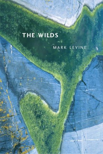 Imagen de archivo de The Wilds (New California Poetry) a la venta por Midtown Scholar Bookstore