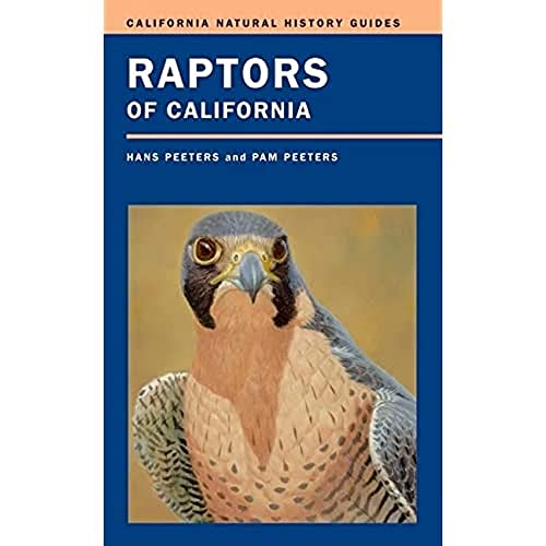 Raptors of California