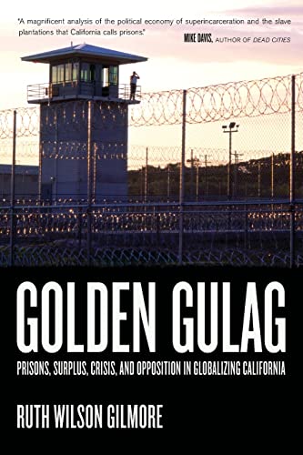 Stock image for Golden Gulag: Prisons, Surplus, Crisis, and Opposition in Globalizing California for sale by Textbooks_Source