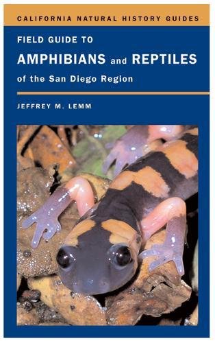 9780520245730: Field Guide to Amphibians and Reptiles of the San Diego Region: 89 (California Natural History Guides)