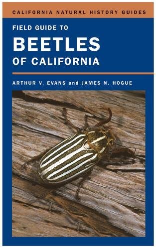 Beispielbild fr Field Guide to Beetles of California zum Verkauf von Les Livres des Limbes