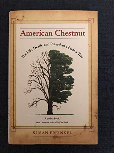 9780520247307: American Chestnut: The Life, Death, and Rebirth of a Perfect Tree