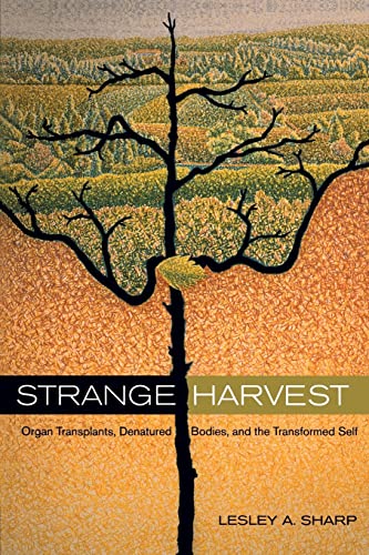 Imagen de archivo de Strange Harvest : Organ Transplants, Denatured Bodies, and the Transformed Self a la venta por Better World Books