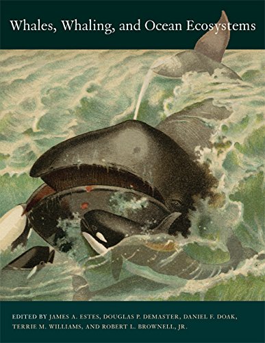 Beispielbild fr Whales, Whaling, and Ocean Ecosystems zum Verkauf von Better World Books