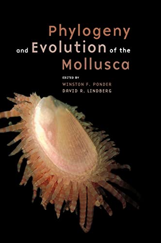 Stock image for Phylogeny and Evolution of the Mollusca for sale by ZBK Books