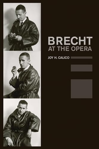 Imagen de archivo de Brecht at the Opera a la venta por Blackwell's