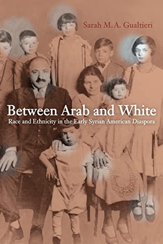 Beispielbild fr Between Arab and White: Race and Ethnicity in the Early Syrian American Diaspora (Volume 26) (American Crossroads) zum Verkauf von BooksRun