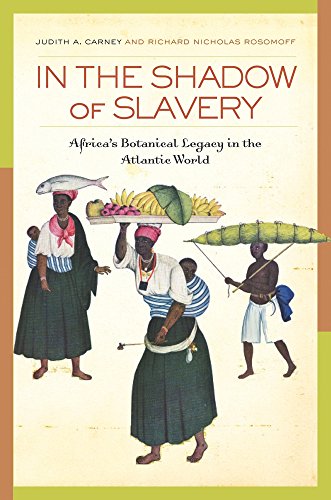 Stock image for In the Shadow of Slavery: Africa?s Botanical Legacy in the Atlantic World for sale by GF Books, Inc.