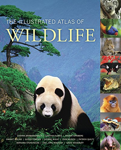 Imagen de archivo de The Illustrated Atlas of Wildlife a la venta por HPB-Red