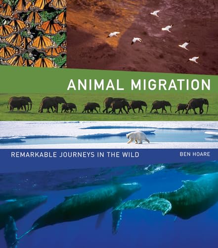 Stock image for Animal Migration: Remarkable Journeys in the Wild for sale by Open Books