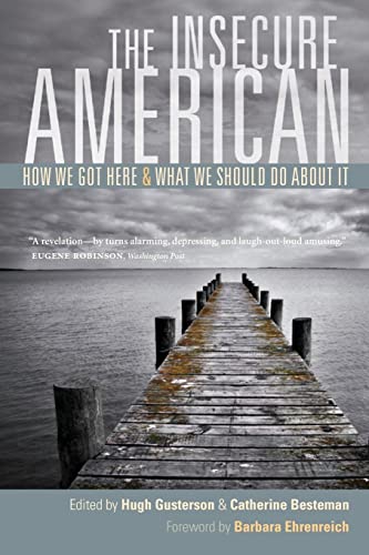 Beispielbild fr Insecure American: How We Got Here and What We Should Do About It zum Verkauf von BooksRun