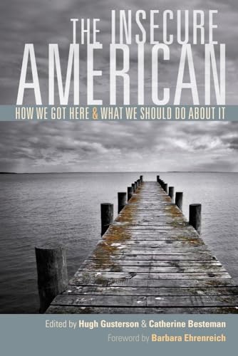 Imagen de archivo de Insecure American: How We Got Here and What We Should Do About It a la venta por BooksRun