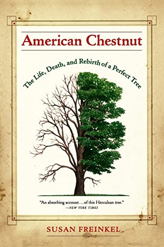 Beispielbild fr American Chestnut: The Life, Death, and Rebirth of a Perfect Tree zum Verkauf von HPB-Diamond