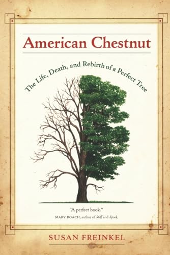 Imagen de archivo de American Chestnut: The Life, Death, and Rebirth of a Perfect Tree a la venta por GoldenWavesOfBooks