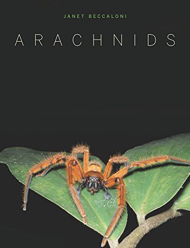 9780520261402: Arachnids
