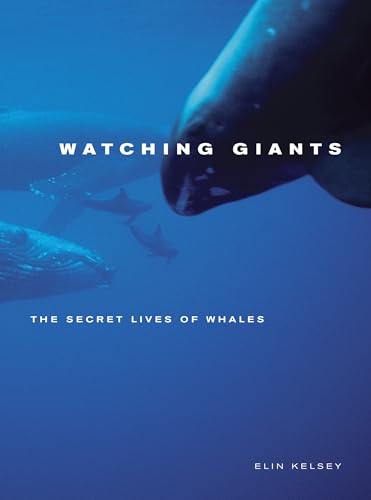 Stock image for Watching Giants : The Secret Lives of Whales for sale by Better World Books