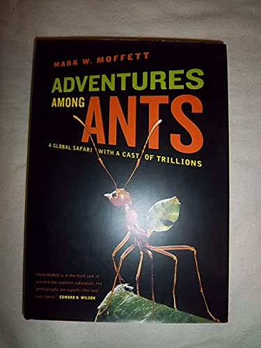 9780520261990: Adventures among Ants: A Global Safari with a Cast of Trillions