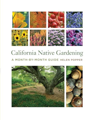 Imagen de archivo de California Native Gardening a la venta por Blackwell's