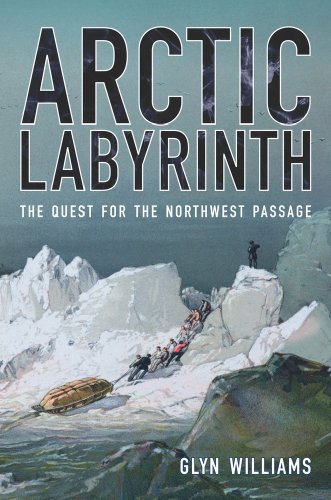 Stock image for Arctic Labyrinth : The Quest for the Northwest Passage for sale by Better World Books