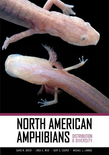 Beispielbild fr North American Amphibians: Distribution and Diversity zum Verkauf von BooksRun