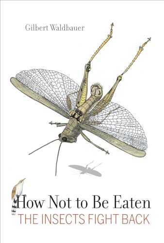 Beispielbild fr How Not to Be Eaten : The Insects Fight Back zum Verkauf von Better World Books