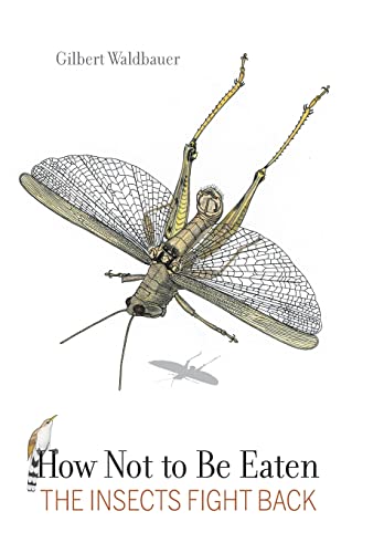 Stock image for How Not to Be Eaten : The Insects Fight Back for sale by Better World Books