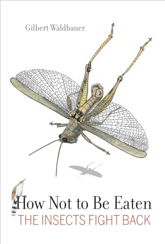 Stock image for How Not to Be Eaten : The Insects Fight Back for sale by Better World Books