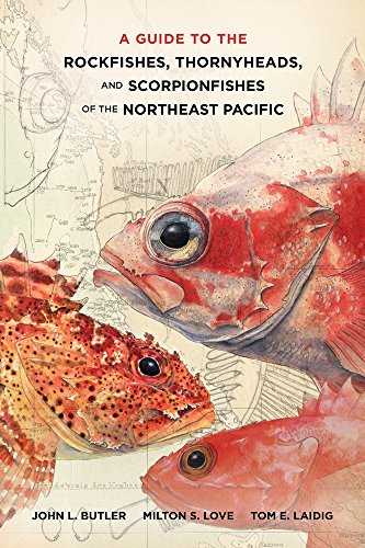 Beispielbild fr A Guide to the Rockfishes, Thornyheads, and Scorpionfishes of the Northeast Pacific zum Verkauf von Books Unplugged